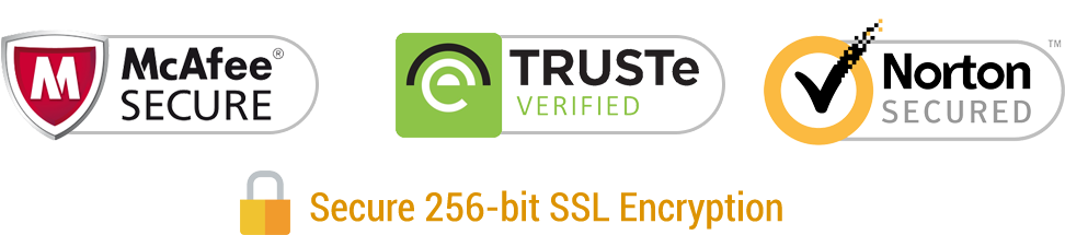 Secure WordPress hosting and website maintenance security logos